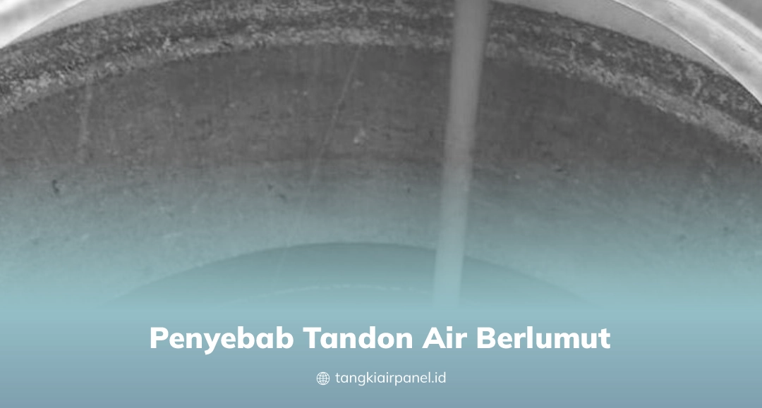 Penyebab Tandon Air Berlumut