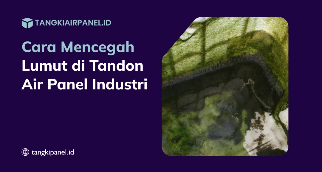 Cara Mengatasi Tandon Air Yang Berlumut