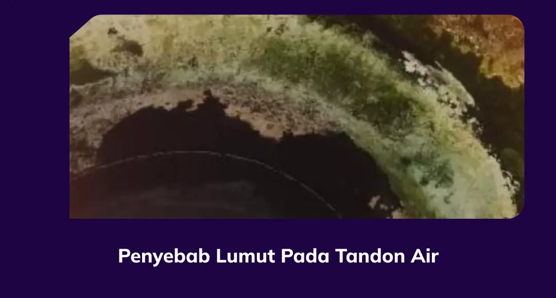 Penyebab Lumut Pada Tandon Air