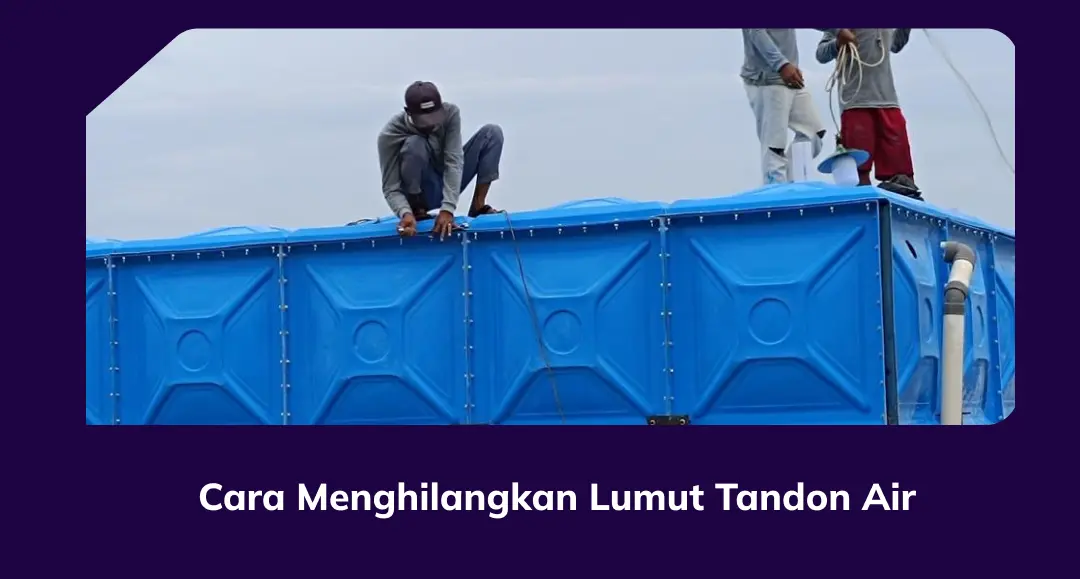 Cara Menghilangkan Lumut Tandon Air